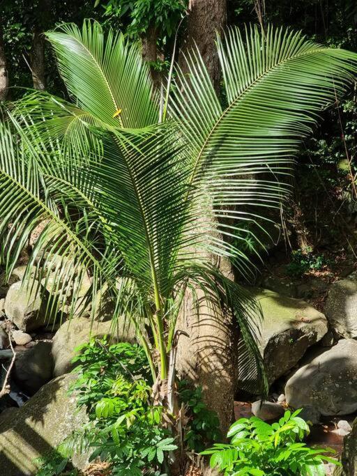 L'Ilet Paradise Pointe-Noire Ngoại thất bức ảnh
